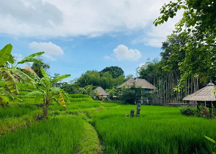 Resort Kts Balinese 4*