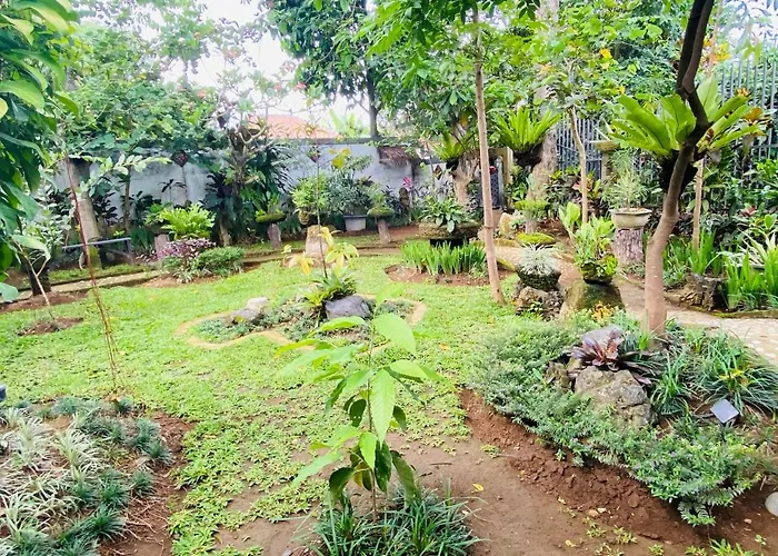 Kts Balinese 4* Canggu (Bali)