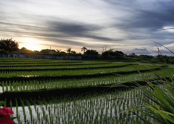 Kts Balinese 4* Canggu (Bali)